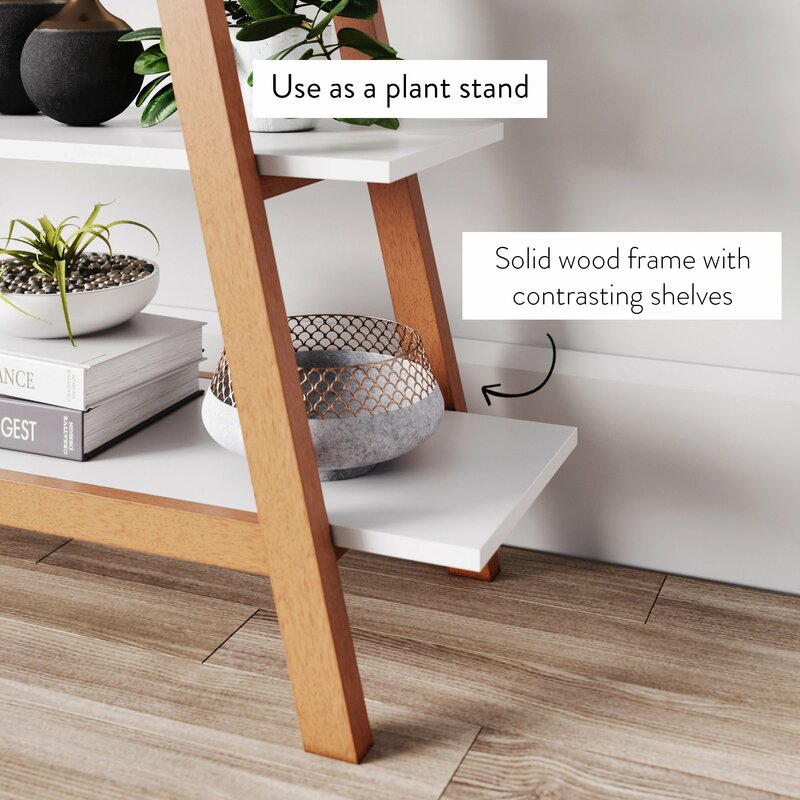 noi-that-su-dung-ke-thang-de-sach-ke-thang-de-do-ladder-bookcase-desk